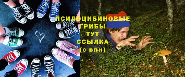 мяу мяу мука Дмитриев