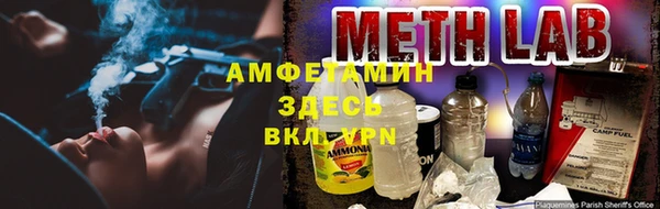 мяу мяу мука Дмитриев