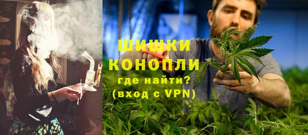 мяу мяу мука Дмитриев