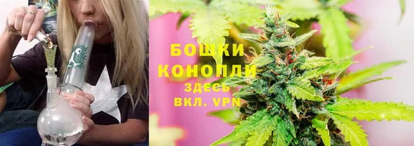 кокс Дмитров