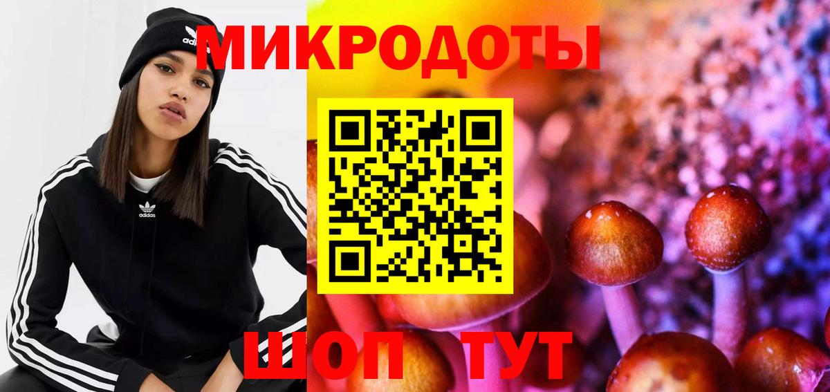 Псилоцибиновые грибы GOLDEN TEACHER  Острогожск 