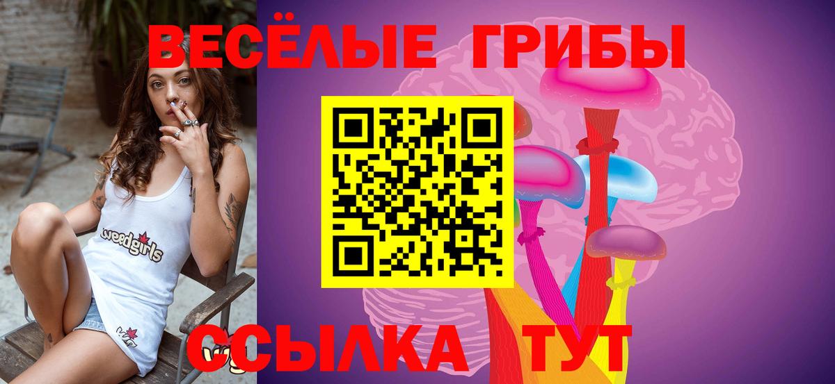 Галлюциногенные грибы MAGIC MUSHROOMS Острогожск